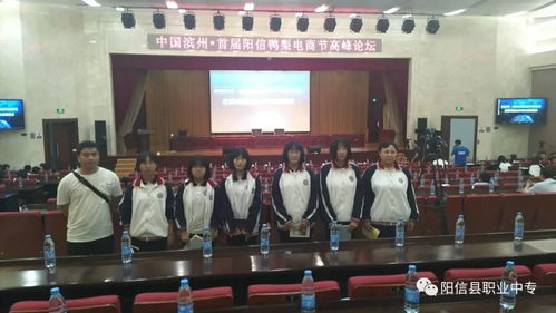 奉化电子商务师团队专业