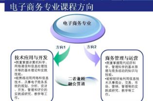 电子商务专业可以考星海