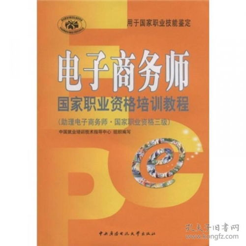 电子商务师专业解读书籍