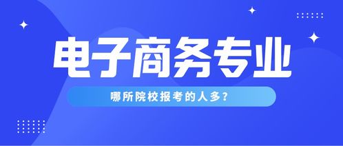 电子商务文职专业课考什么